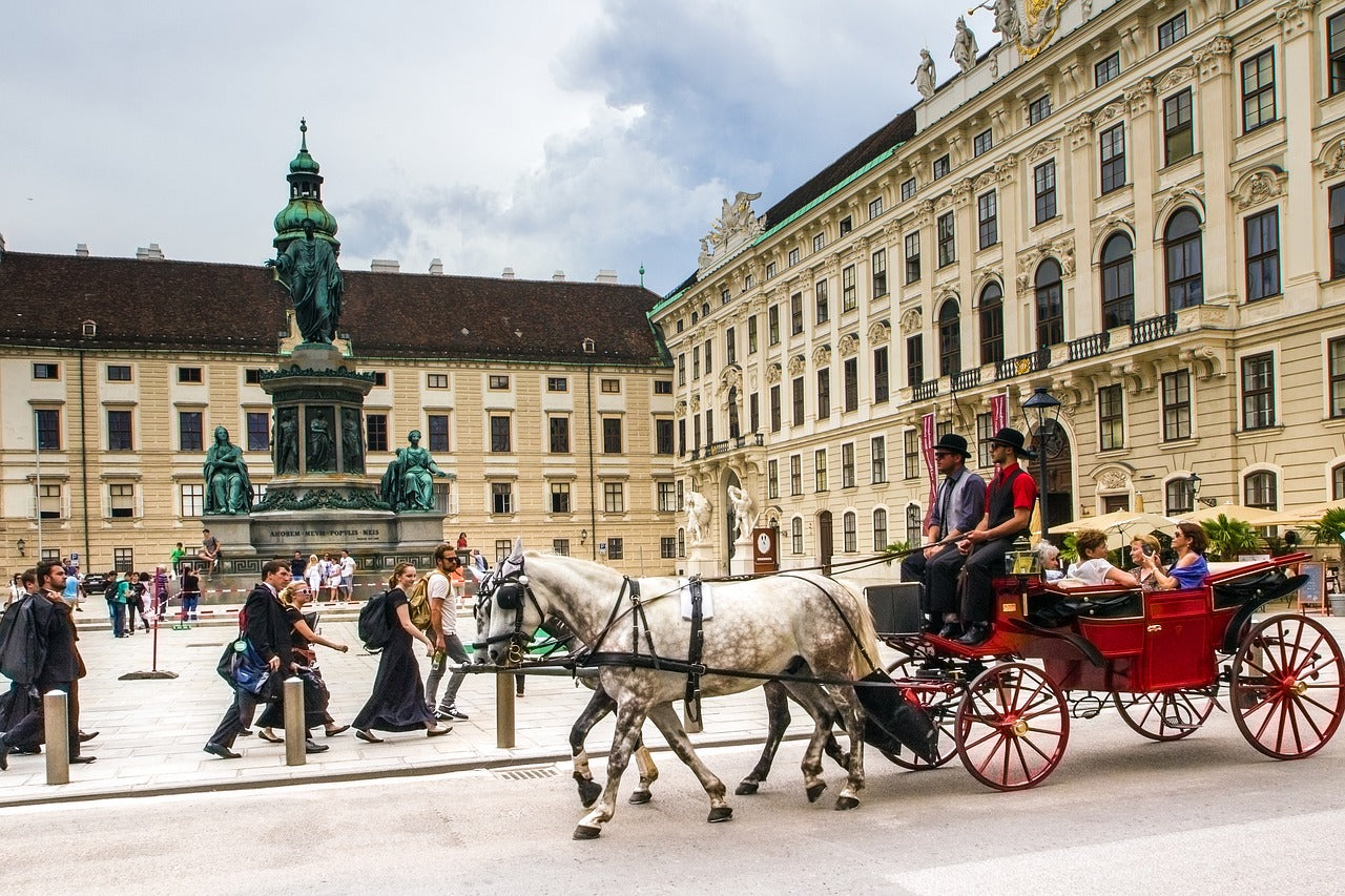 VIENNA 3/6 FEBBRAIO- Prezzi a Coppia