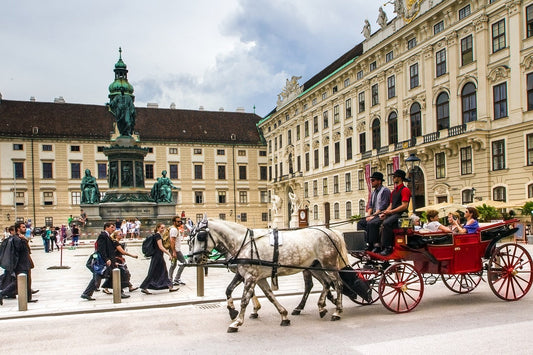 VIENNA 3/6 FEBBRAIO- Prezzi a Coppia